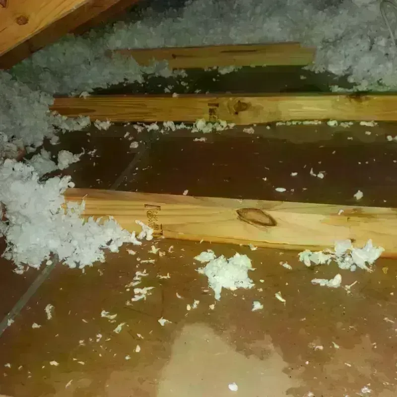 Attic Water Damage in Sioux Center, IA