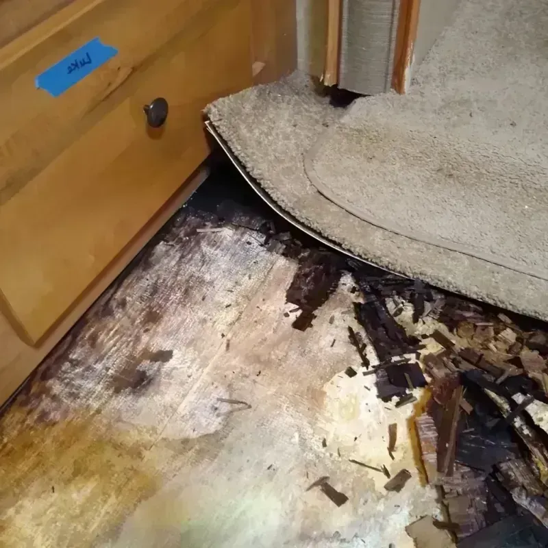 Wood Floor Water Damage in Sioux Center, IA